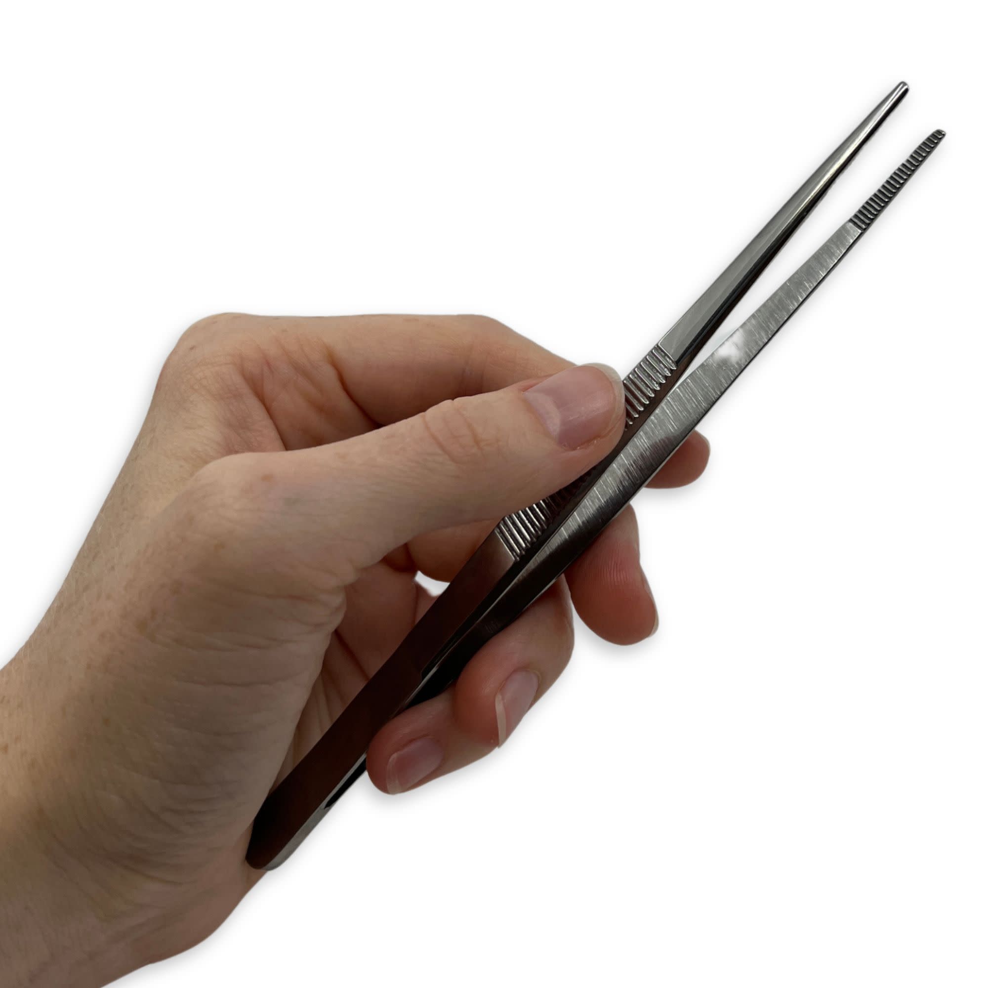 Serrated Stainless Steel Dissecting Forceps, 6"