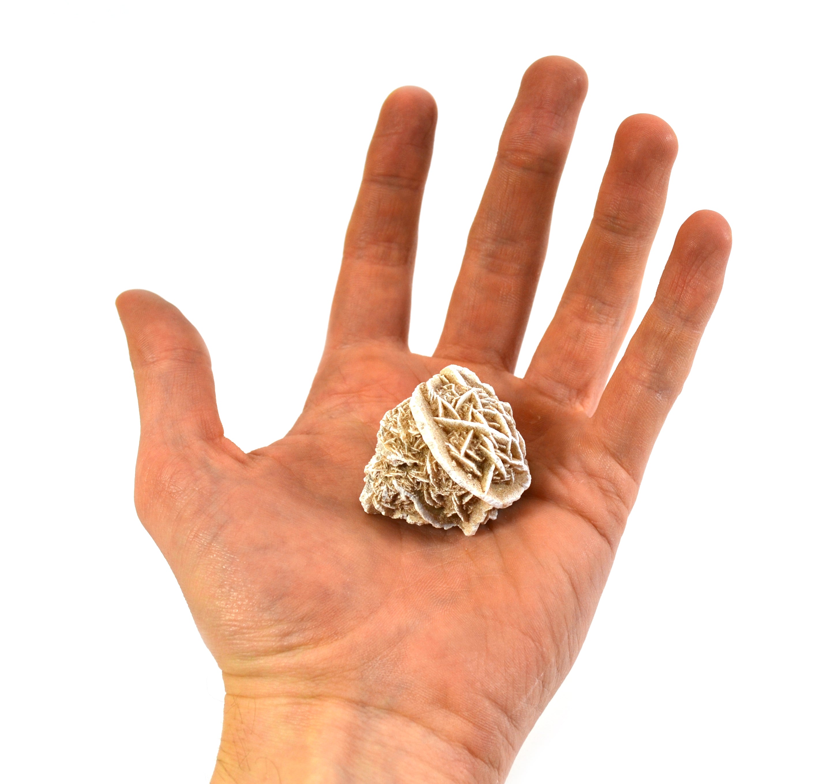 Selenite Desert Rose Specimen, 2 inch