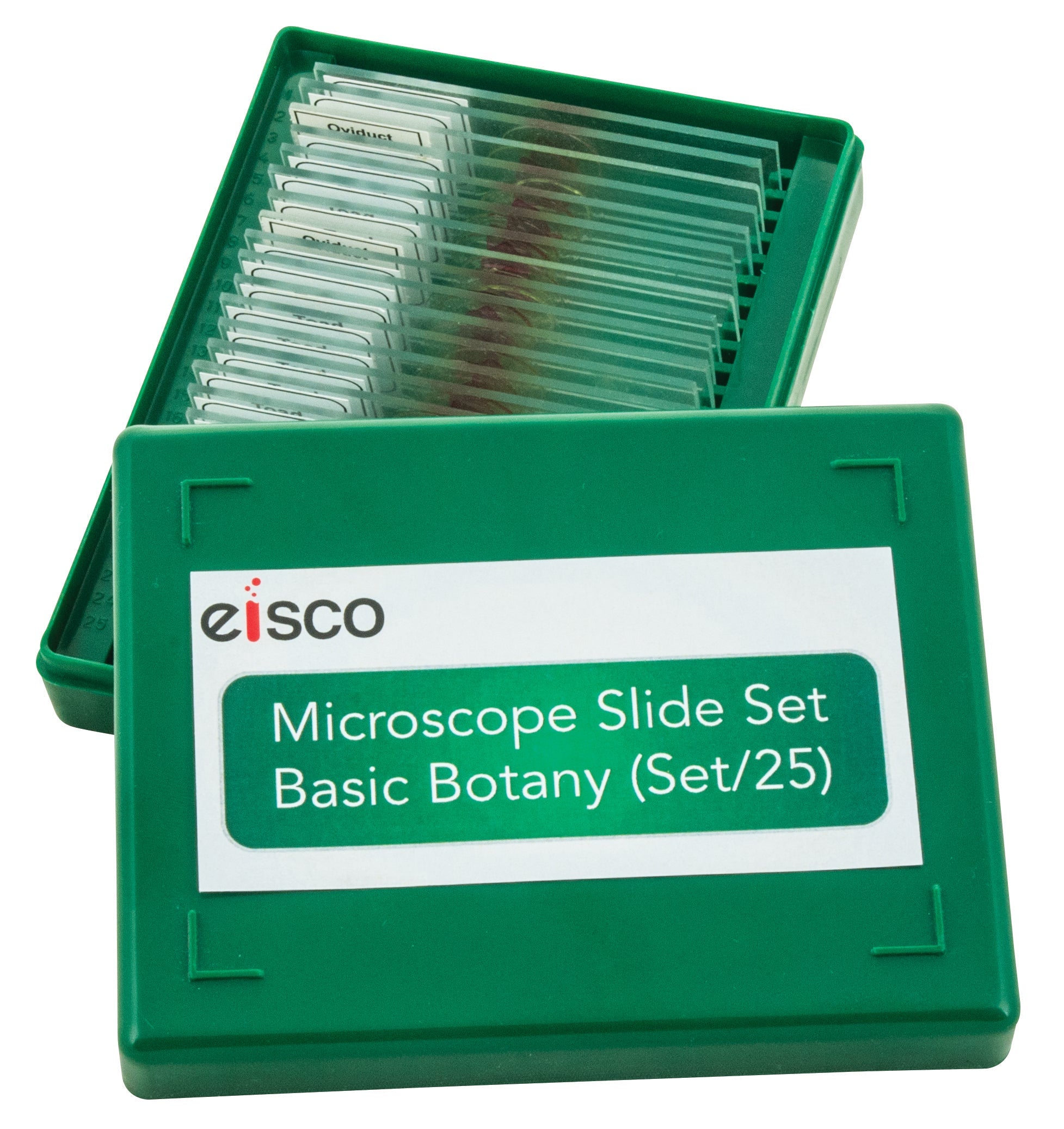 Basic Botany Models Microscope Slide Set, 25-Piece