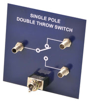 Single-Pole Double-Throw Switch Demonstration Board
