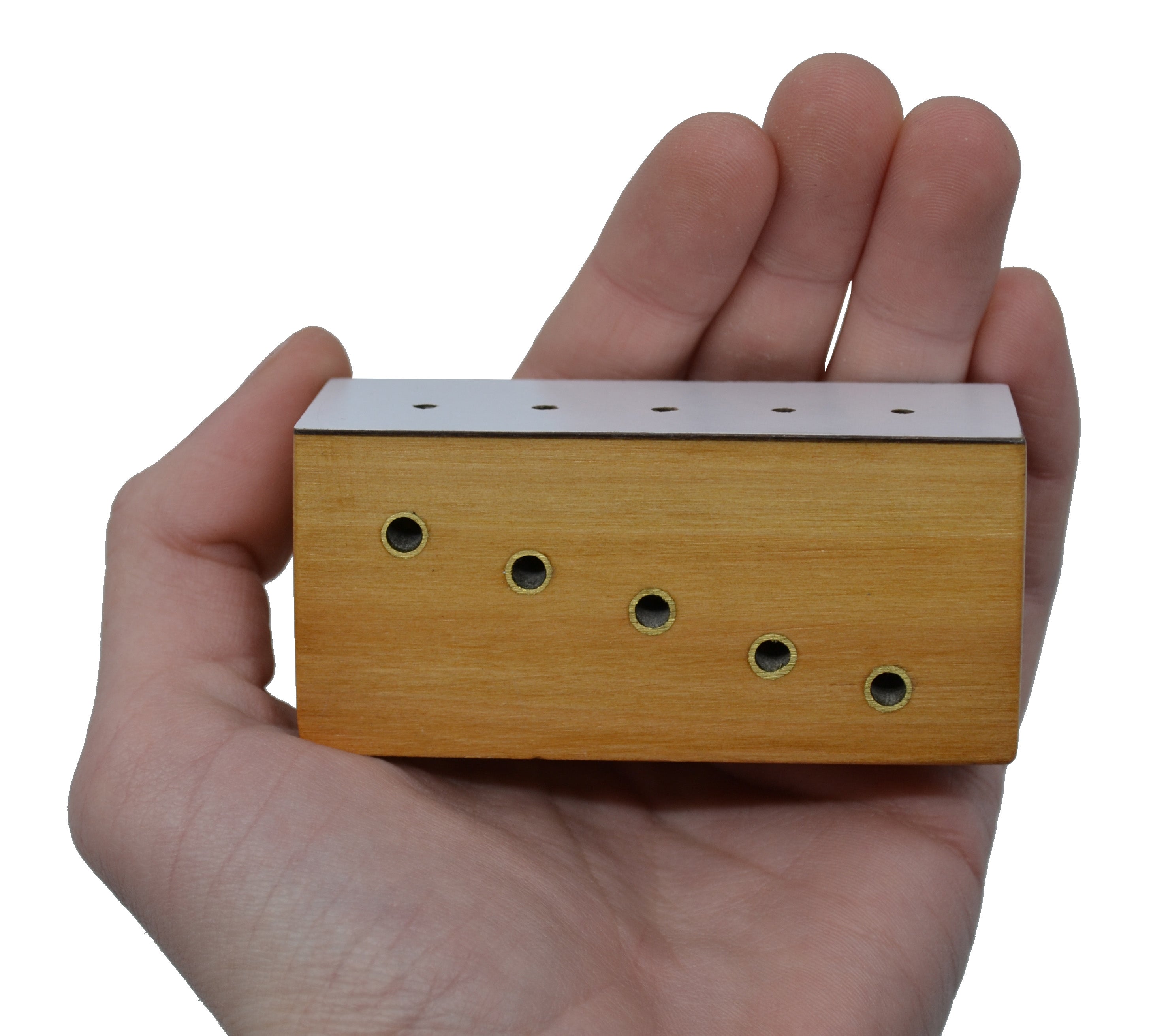 Hardwood Insect Pinning Block with 5-Hole Step Heights