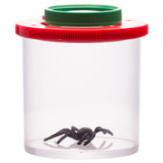 Bug Viewer with Dual 3X/6X Magnification