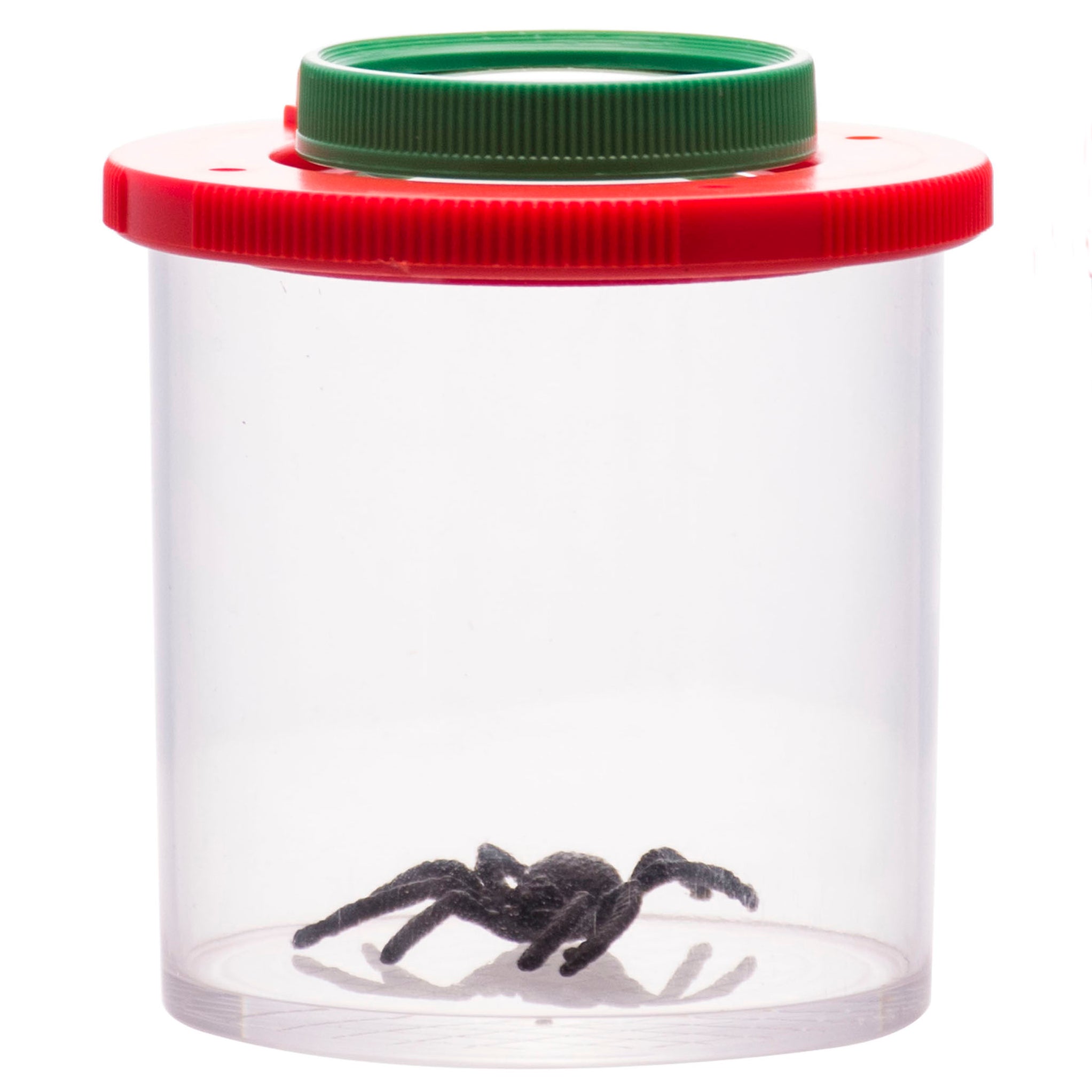 Bug Viewer with Dual 3X/6X Magnification