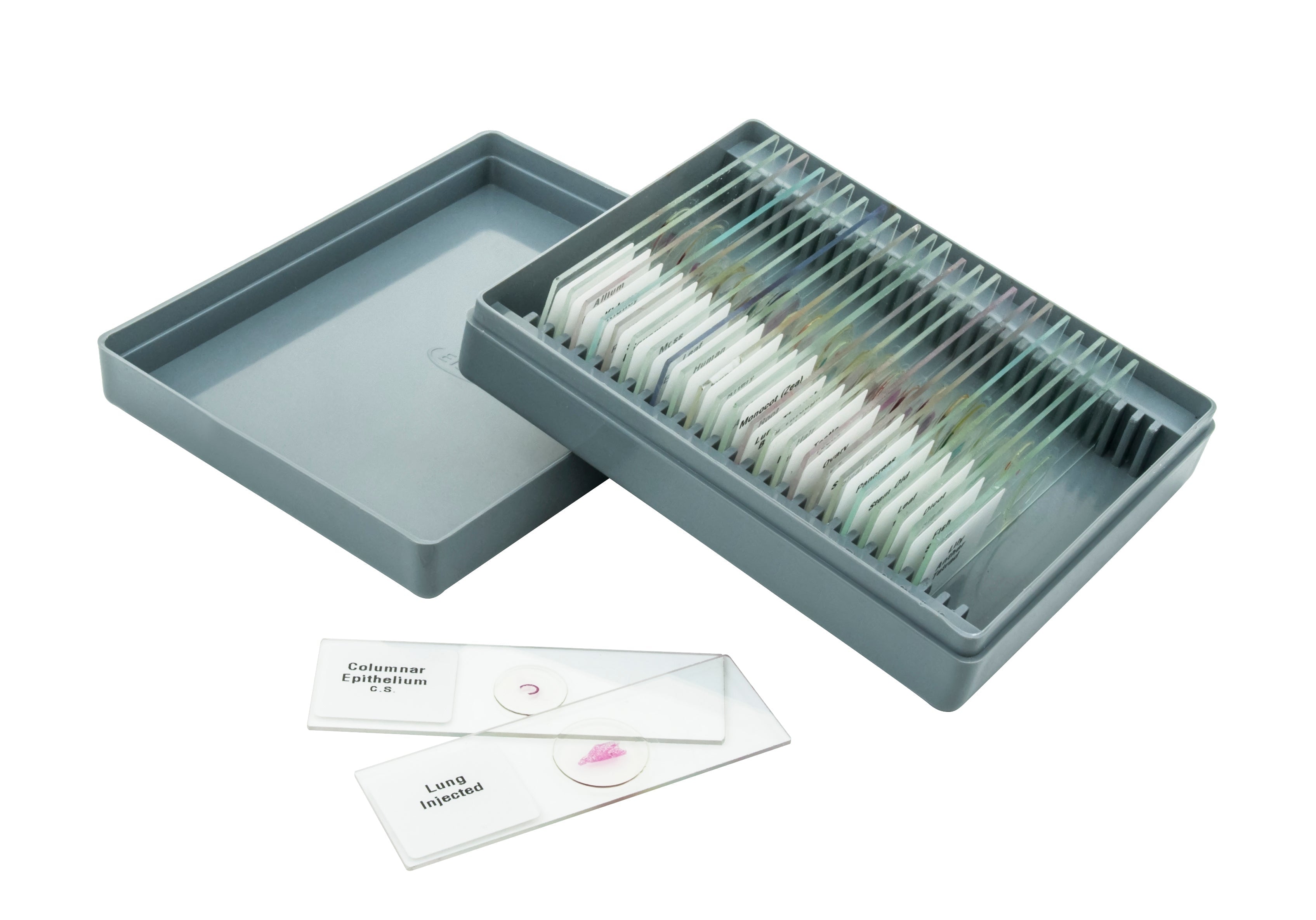 Basic Microscope Slide Set, 25-Piece