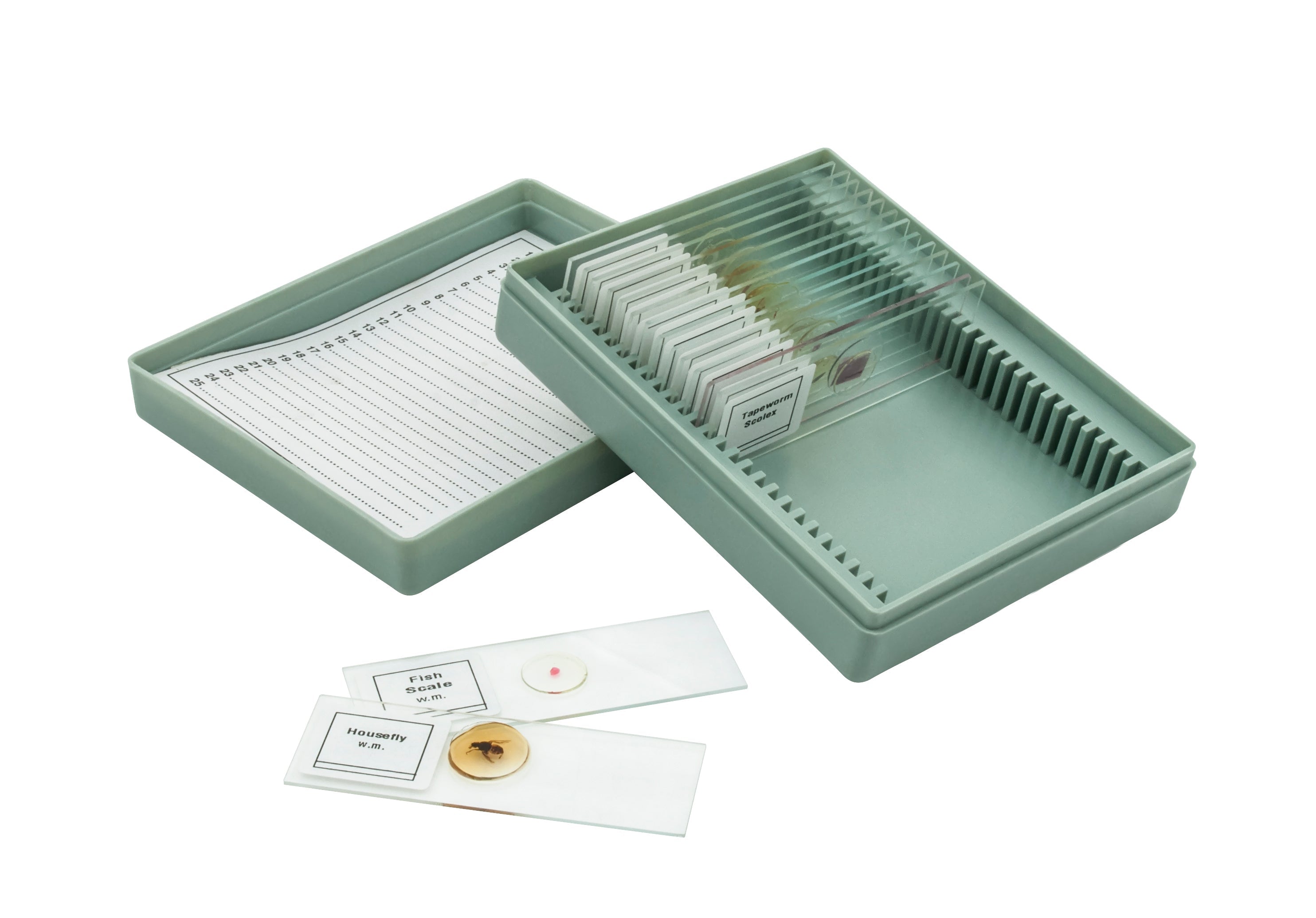 Introductory No. VIII Microscope Slide Set, 15-Piece