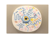 Hand-Painted Animal Cell Anatomical Model on 13 x 9 inch Base, 10000x Magnification