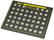 Classroom Magnetic Field Demonstrator