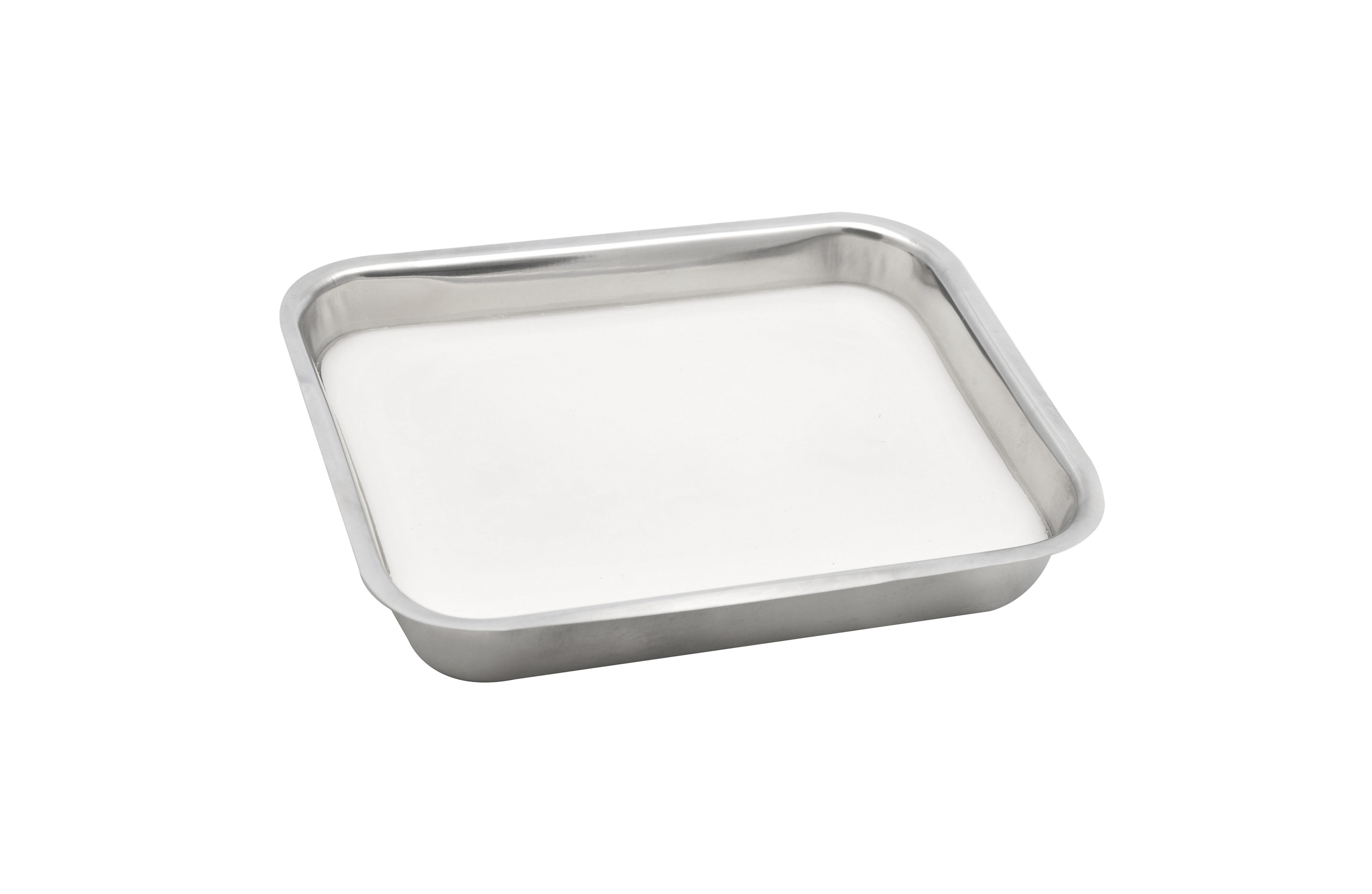 Stainless Steel Dissection Tray with Wax Liner