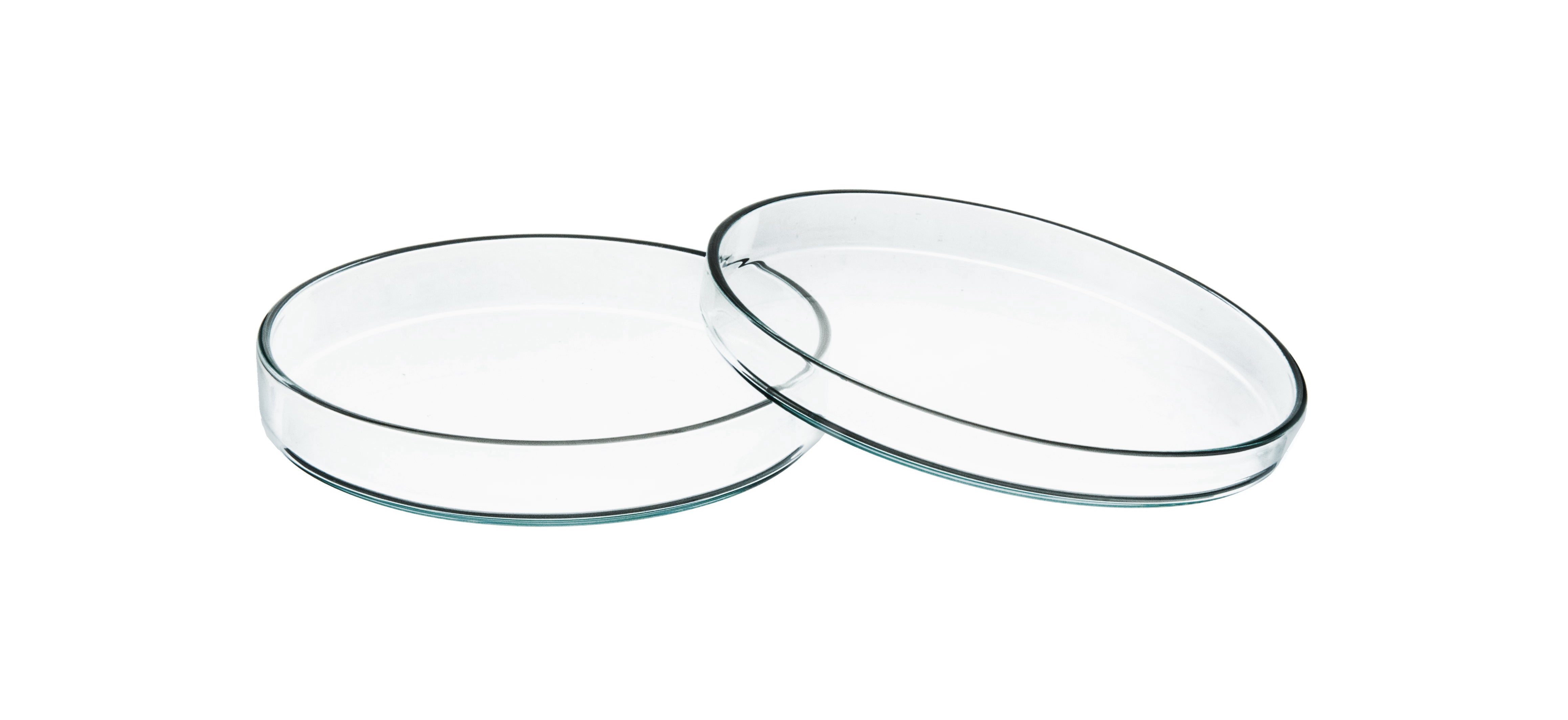Soda Lime Glass Petri Dish