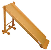 Dynamic Track with Stand and Ramp