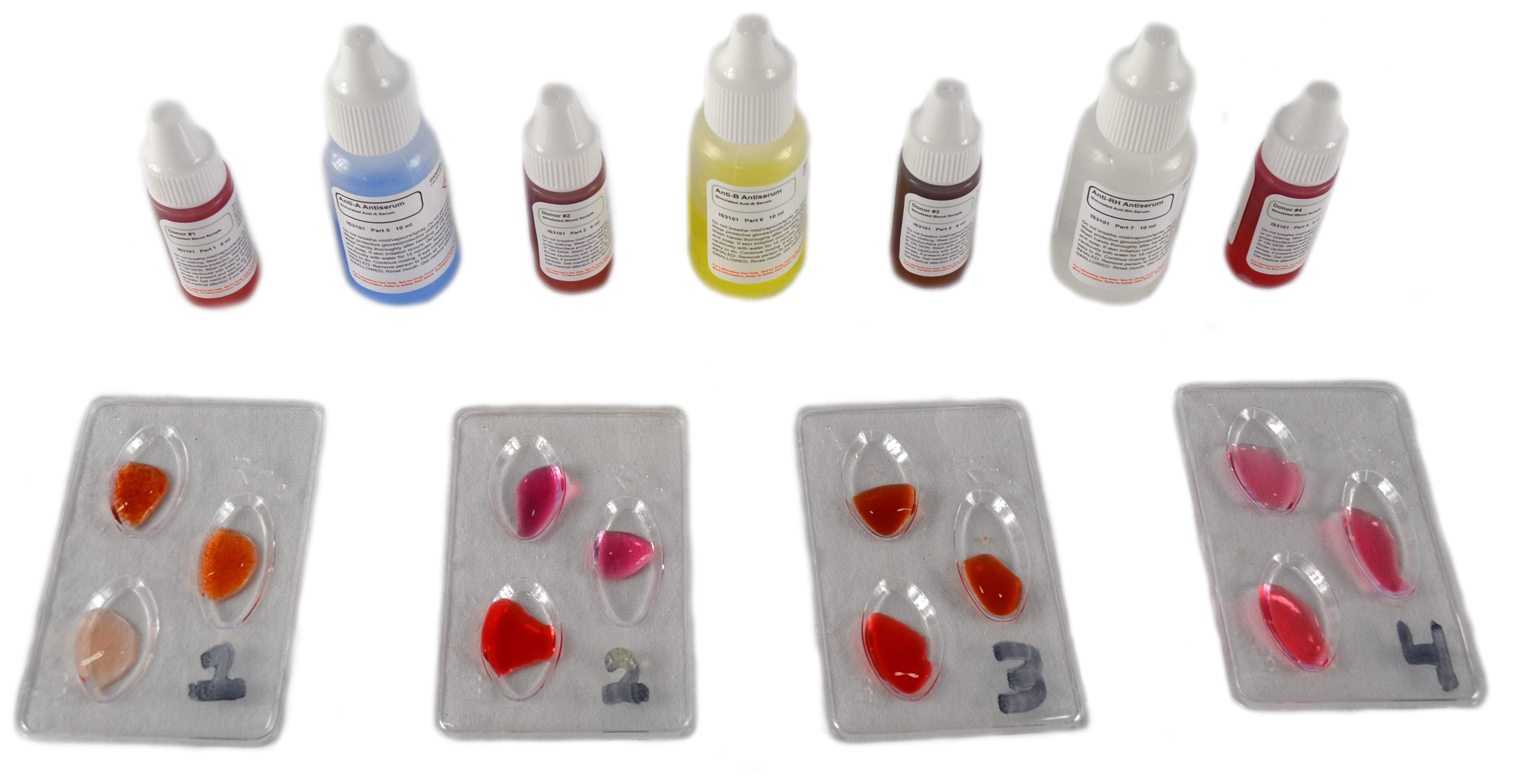 Simulated ABO/Rh Blood Typing Kit, 10 Setups