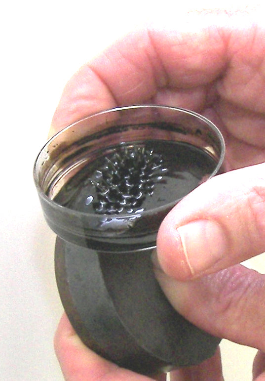 Nanotechnology Synthesis of a Ferrofluid Experiment Kit