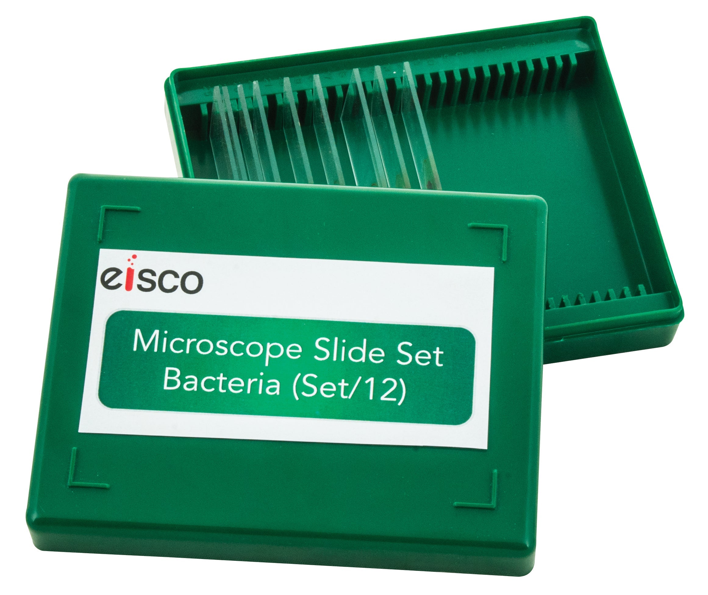 Bacteria Microscope Slide Set, 12-Piece