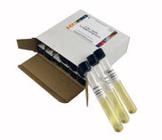 12-Pack Sterile Luria LB Miller's Broth Tubes