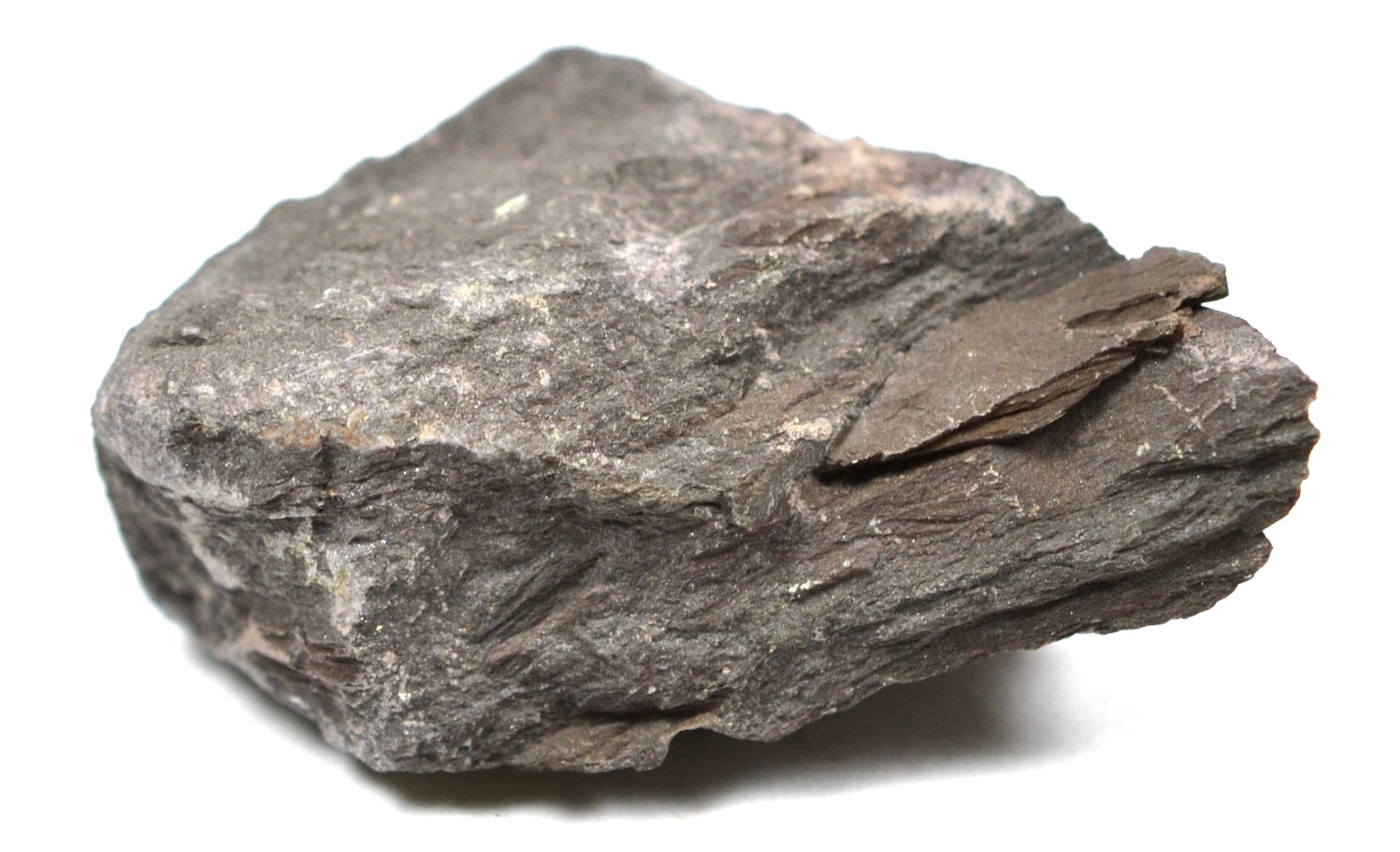 Hornfels Specimen
