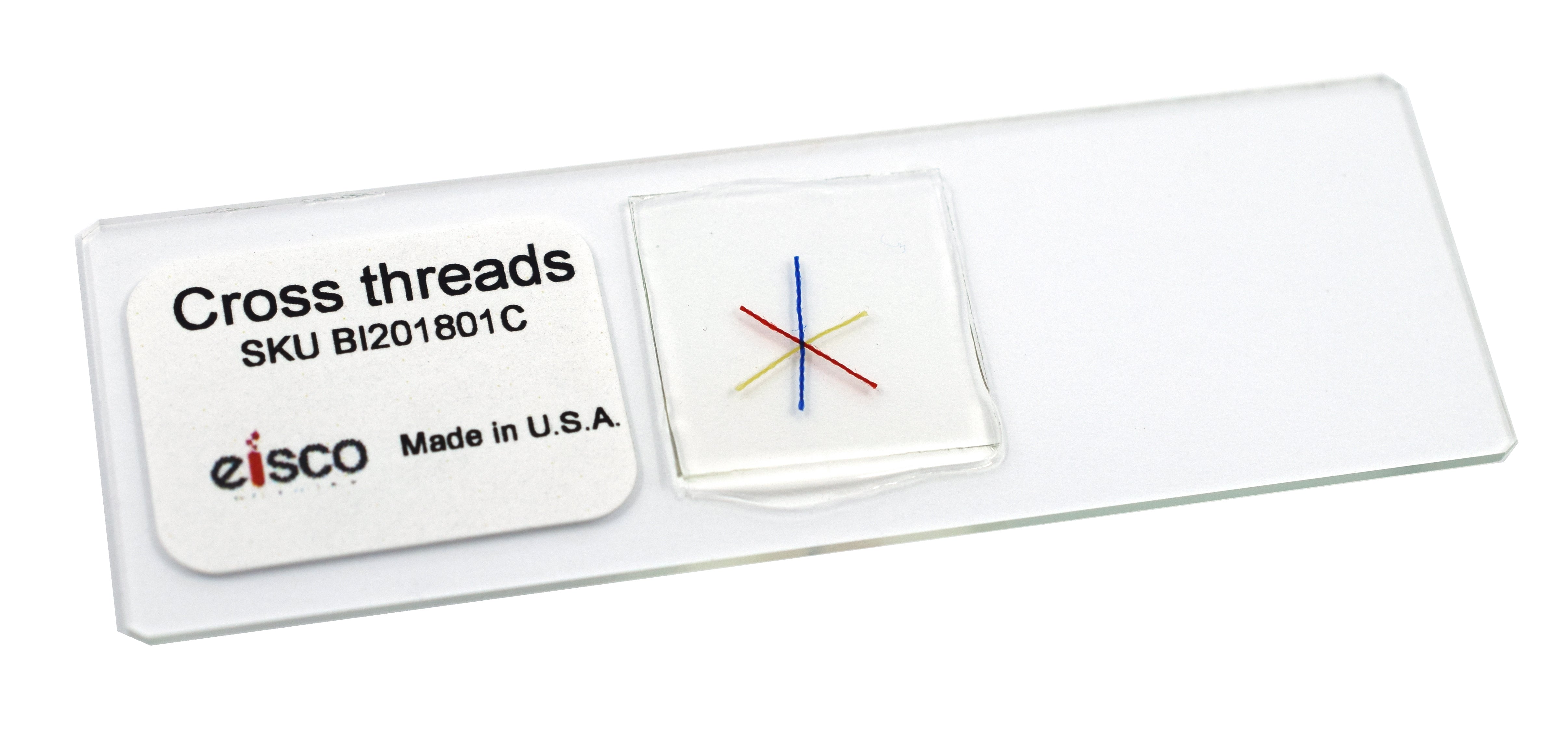 Crossing Threads Prepared Microscope Slide for Introductory Microscopy