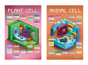 2-Pack Animal and Plant Cell Structure Poster Set, 24 x 36 inch