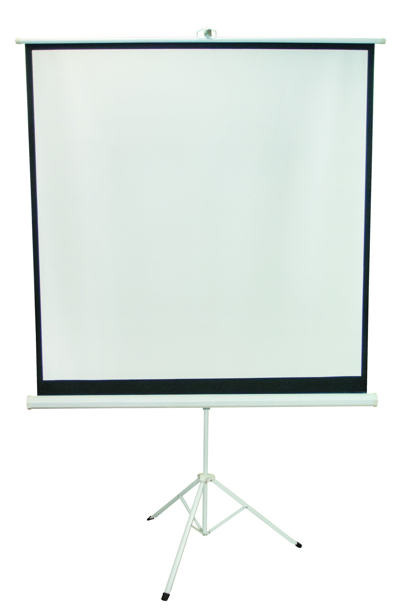 Lab Projecting Screen Projection Screen, 60 x 60