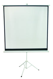 Projection Screen, 60 x 60"