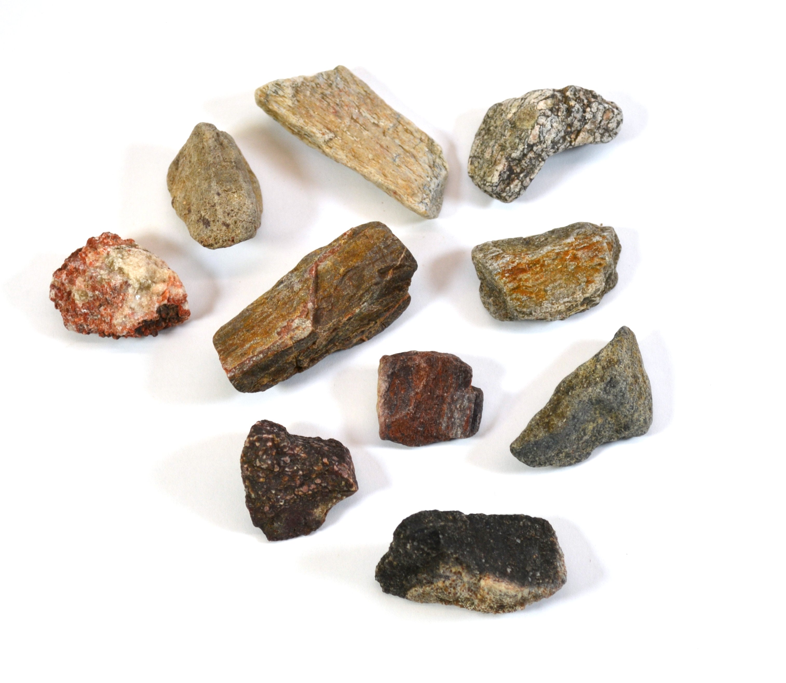 10-Pack Real Dinosaur Bone Piece Fossils, Approx 1 inch