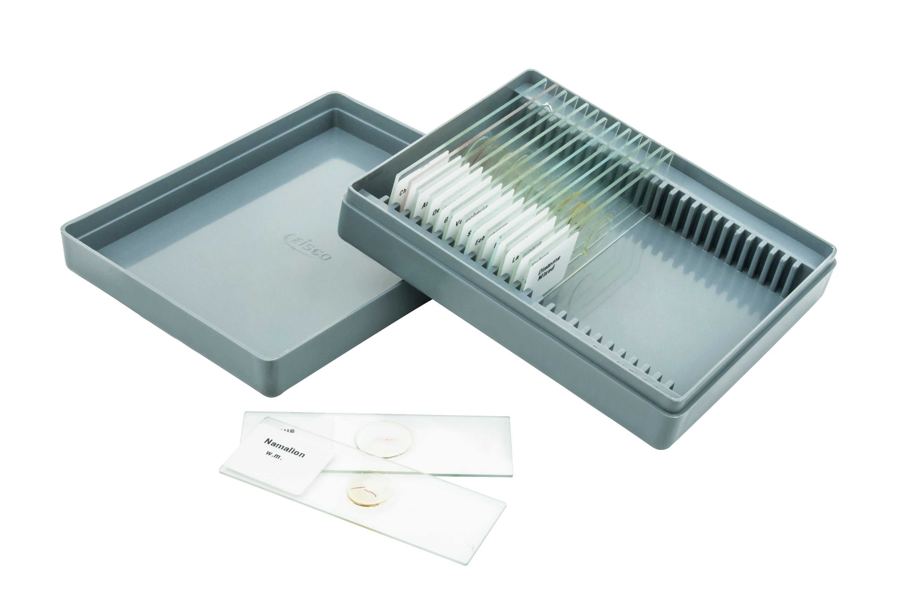Algae Survey No. VII Microscope Slide Set, 15-Piece