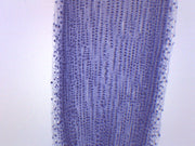 Allium Root Tips Mitosis Prepared Microscope Slide