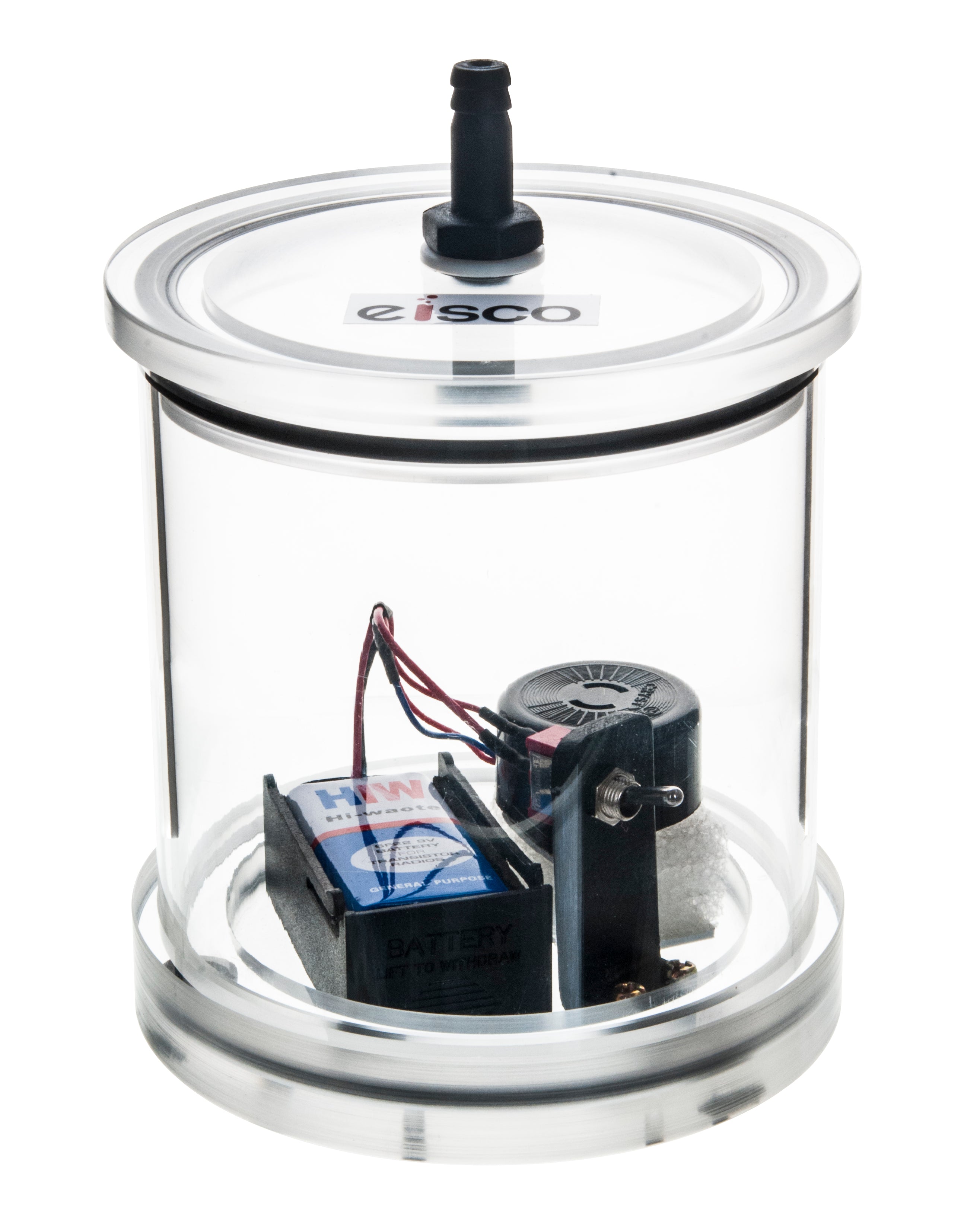 All-Inclusive Buzzer in Vacuum Jar Kit