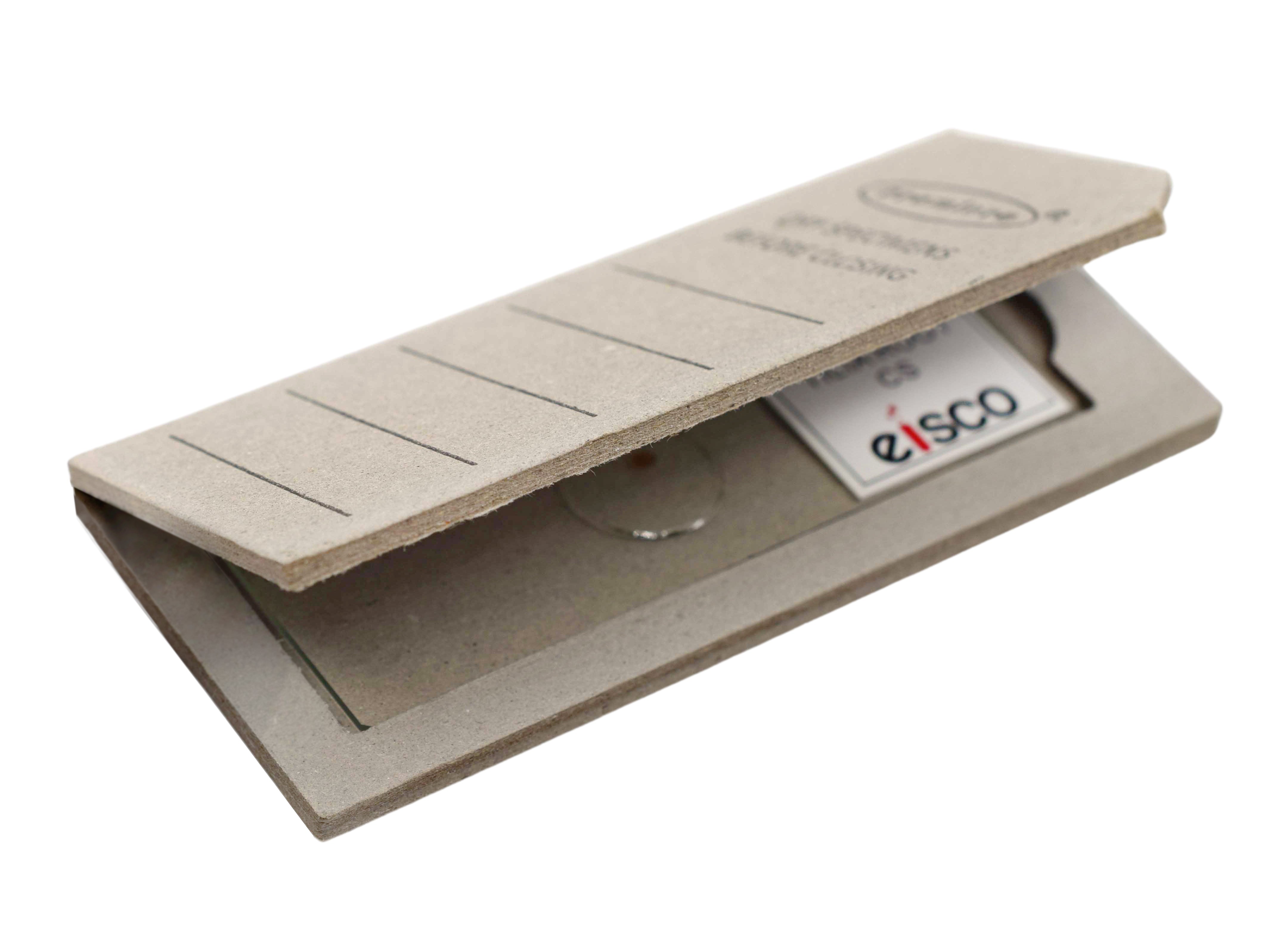 Esophagus Epithelium Cross-Section Prepared Microscope Slide