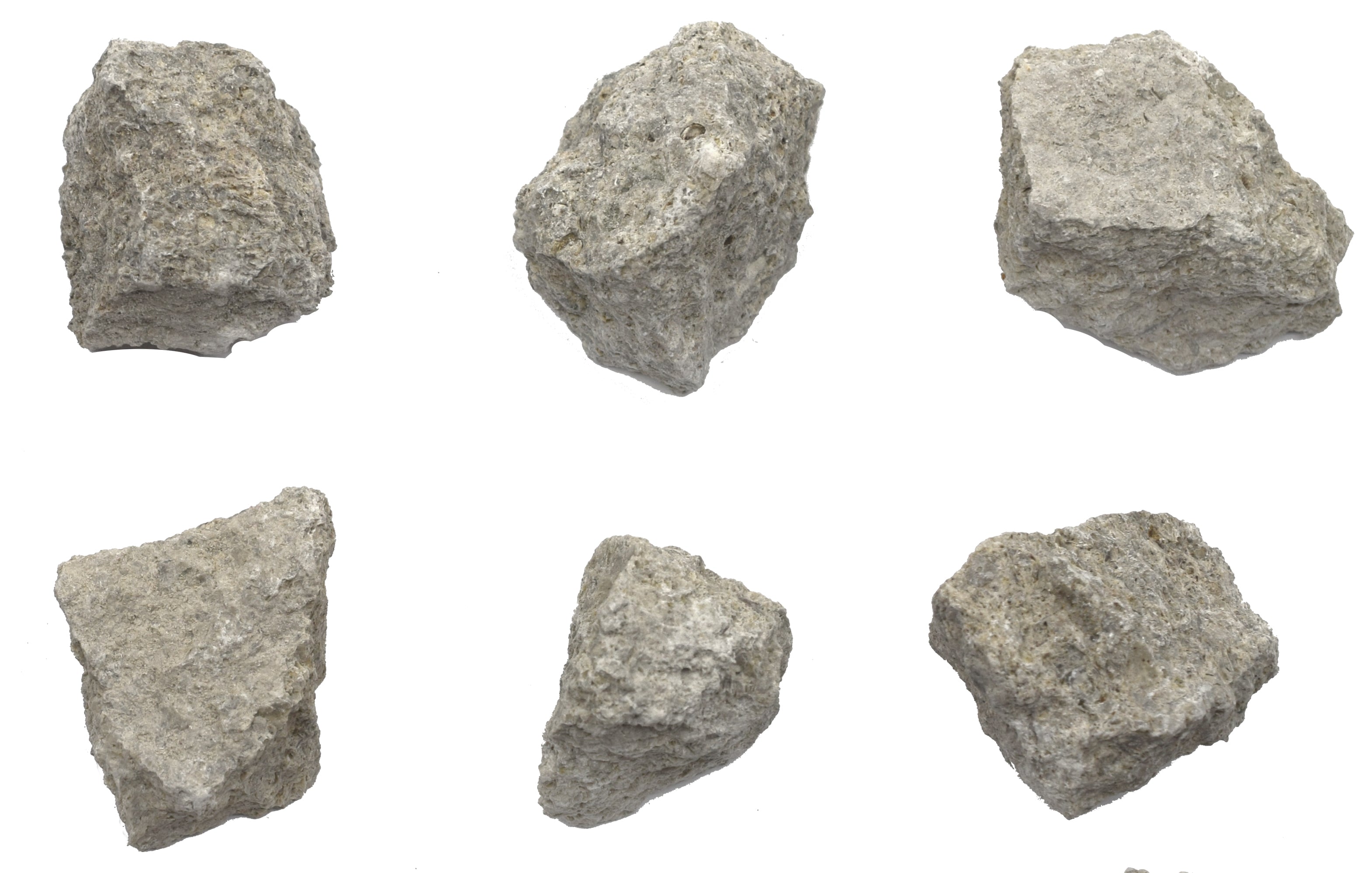 Fossiliferous Limestone Specimen