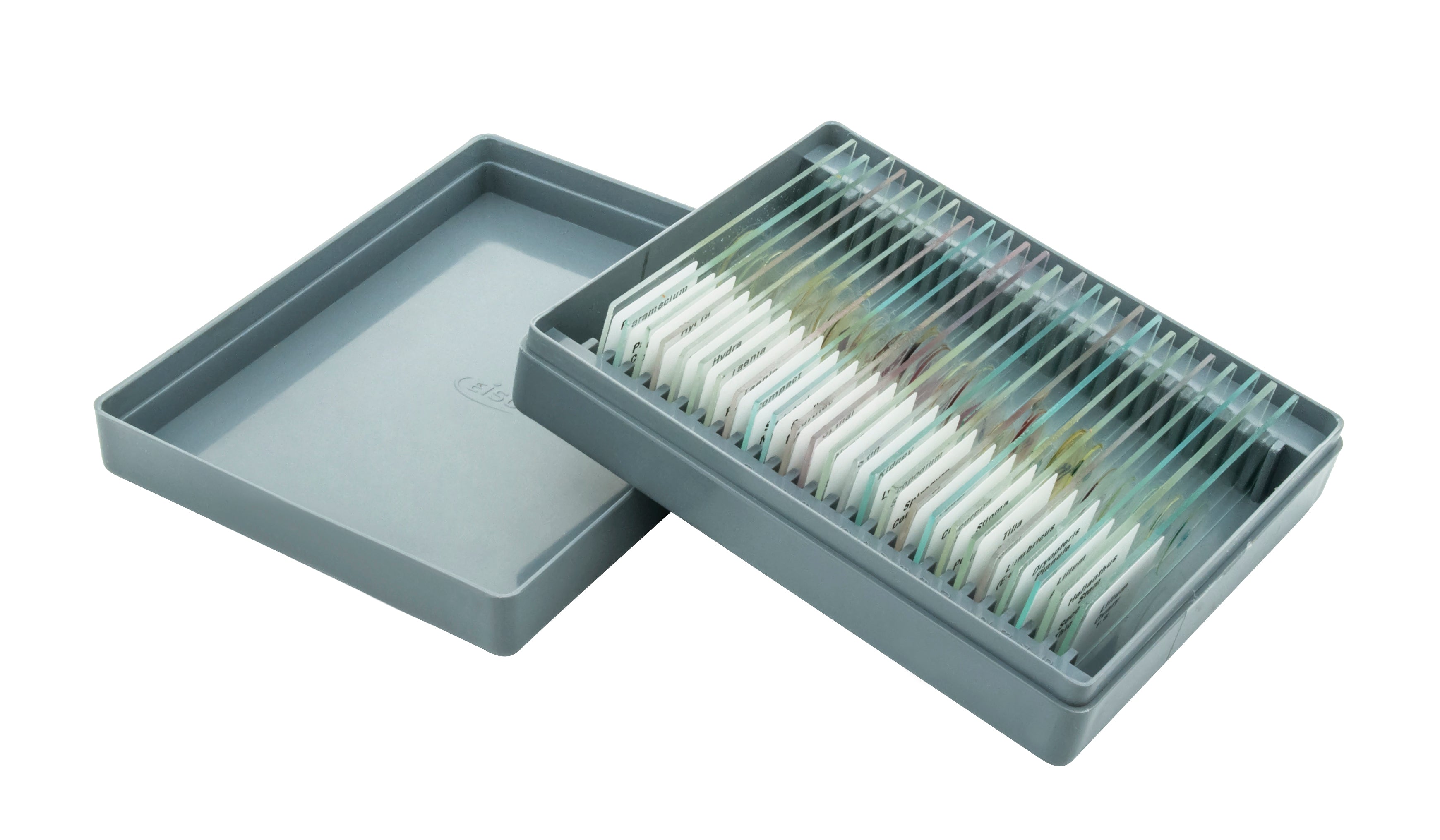 Biology Microscope Slide Set, 25-Piece