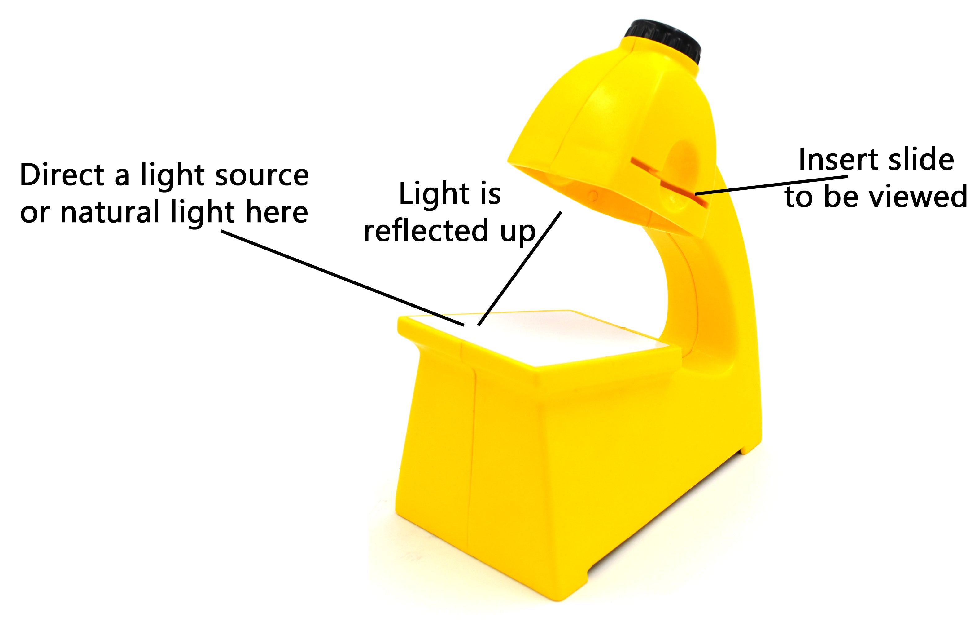Economical Microscope Slide Viewer