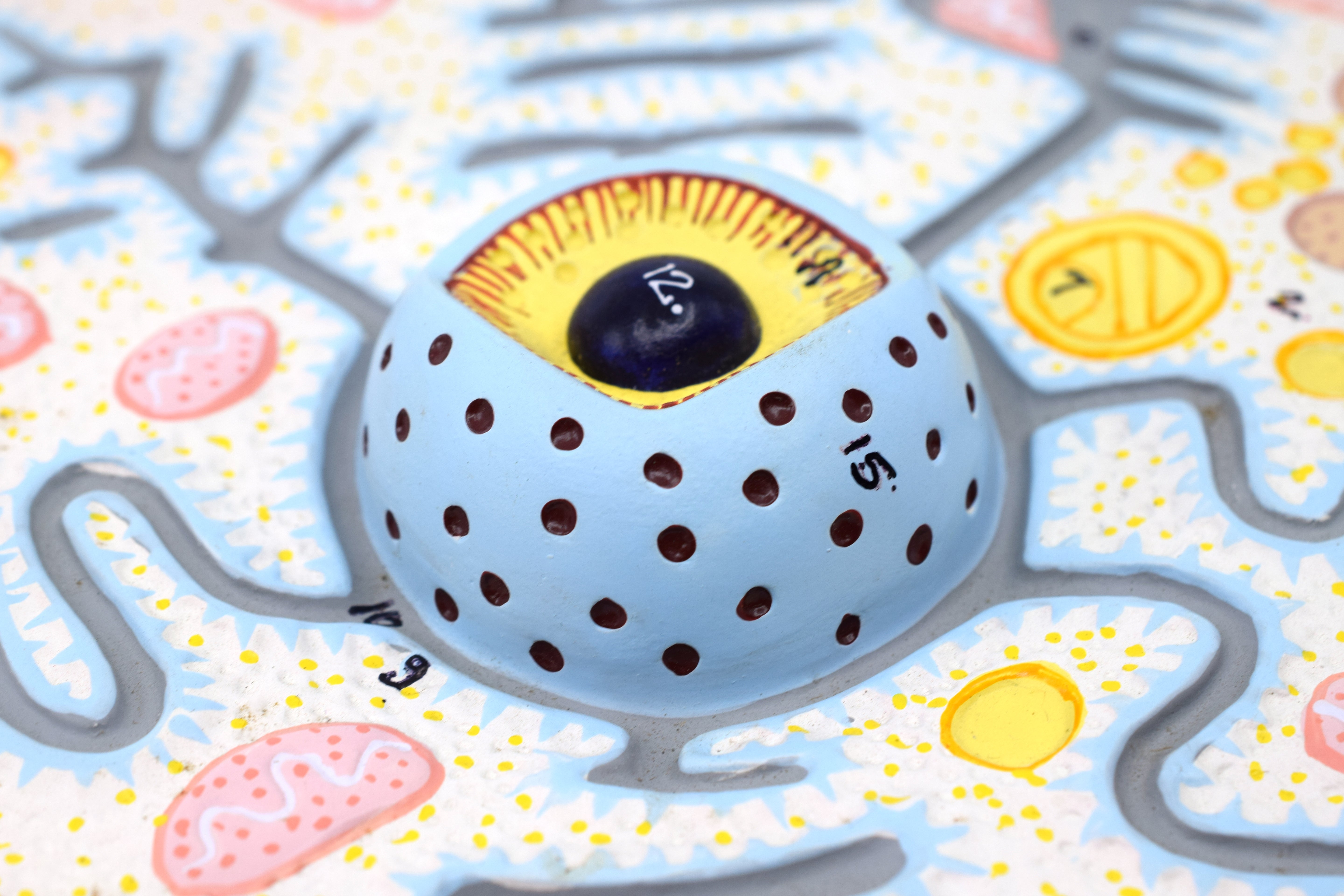 Hand-Painted Animal Cell Anatomical Model on 13 x 9 inch Base, 10000x Magnification