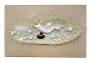 3D Paramecium Sectional Anatomical Model on Base, 15 x 9.5 inch