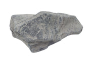 Raw Slate Metamorphic Rock Hand Sample, Approx 3 inch