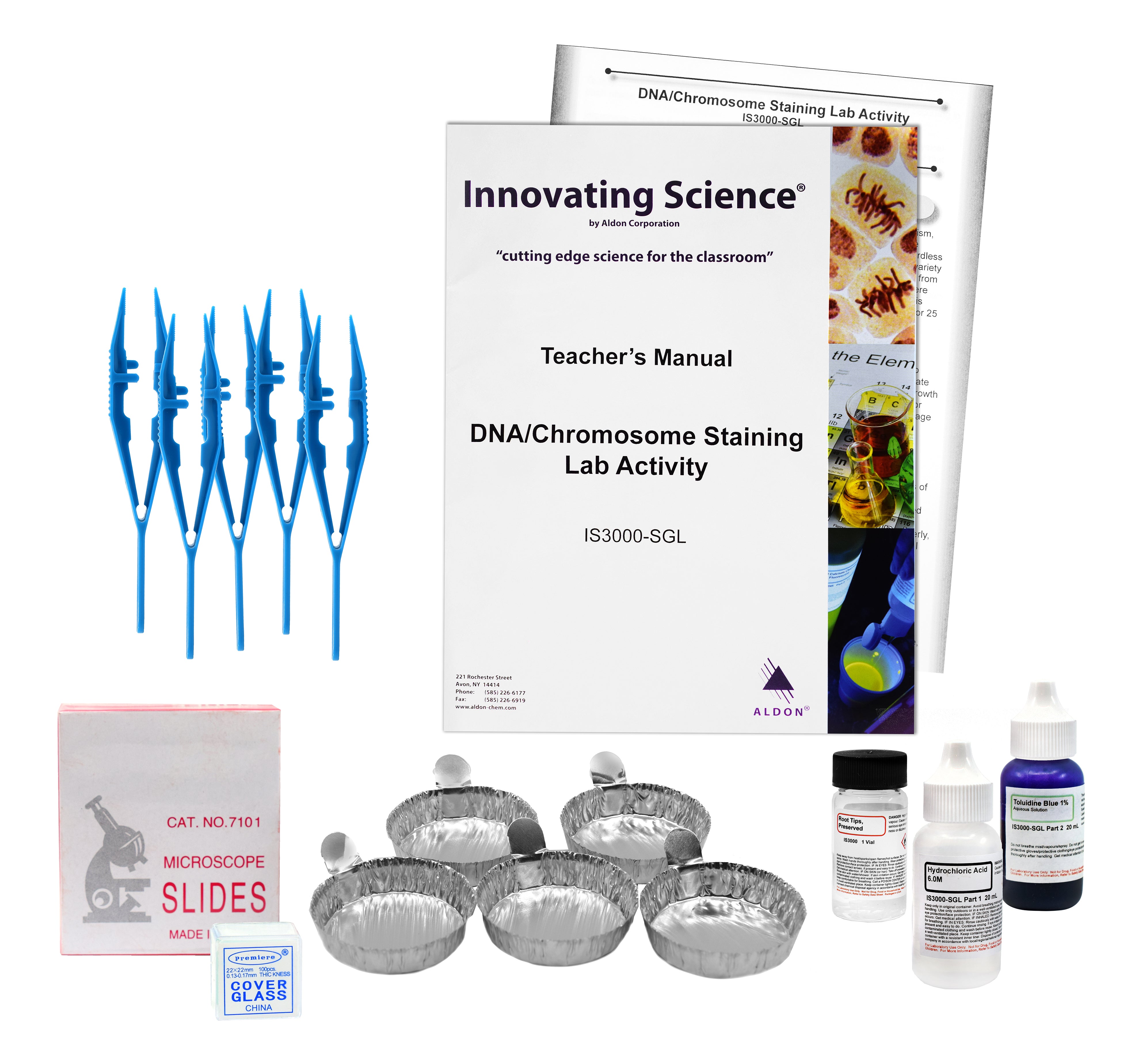 DNA and Chromosome Staining Small Group Learning Kit with Squashed Stained Slides