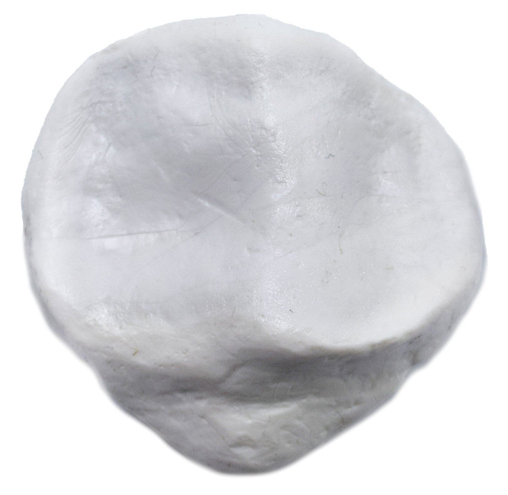 Left Patella Bone Model