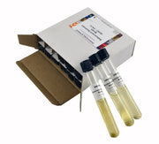 12-Pack Sterile Sabouraud Dextrose Broth Tubes