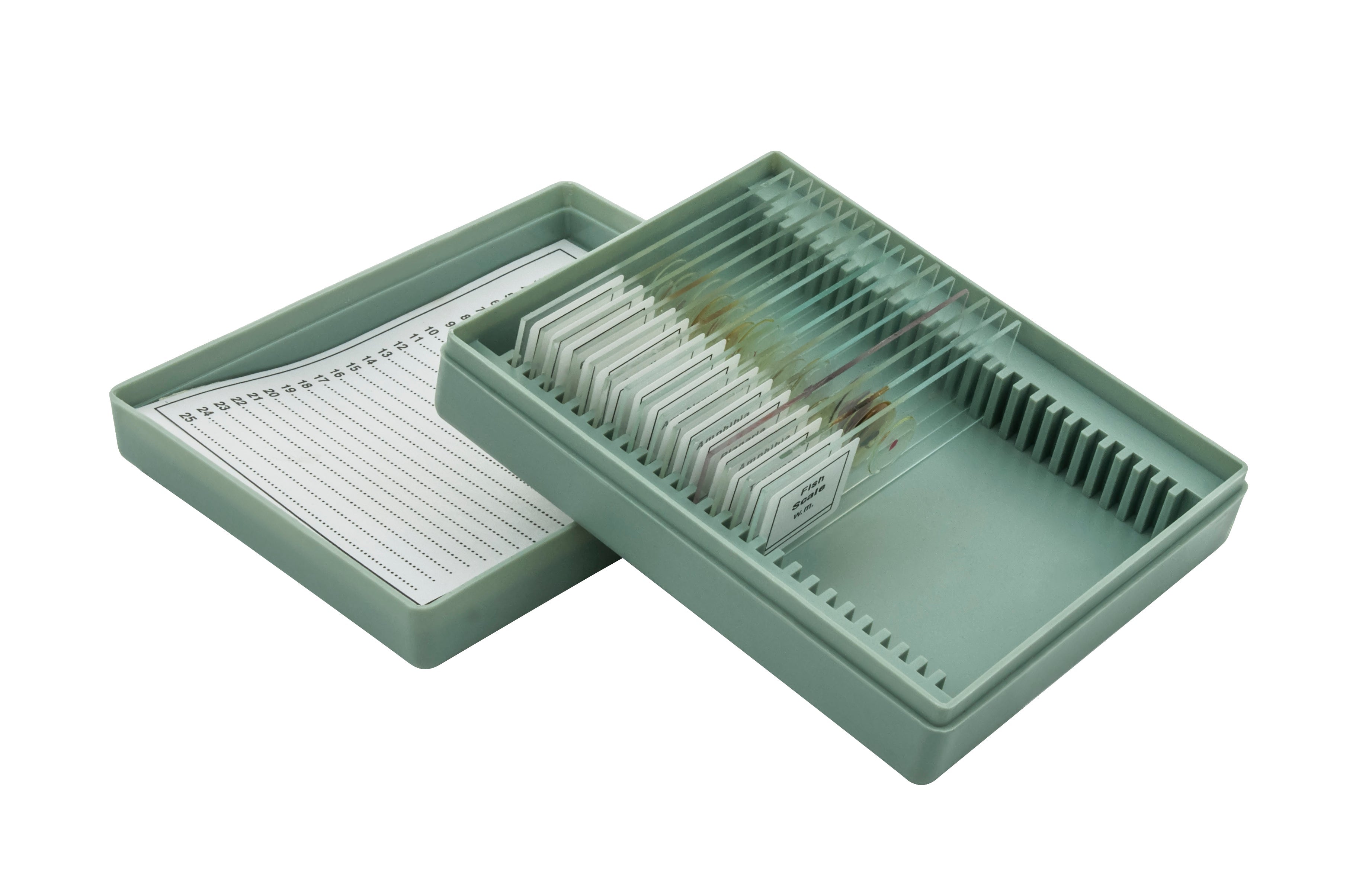 Introductory No. VIII Microscope Slide Set, 15-Piece