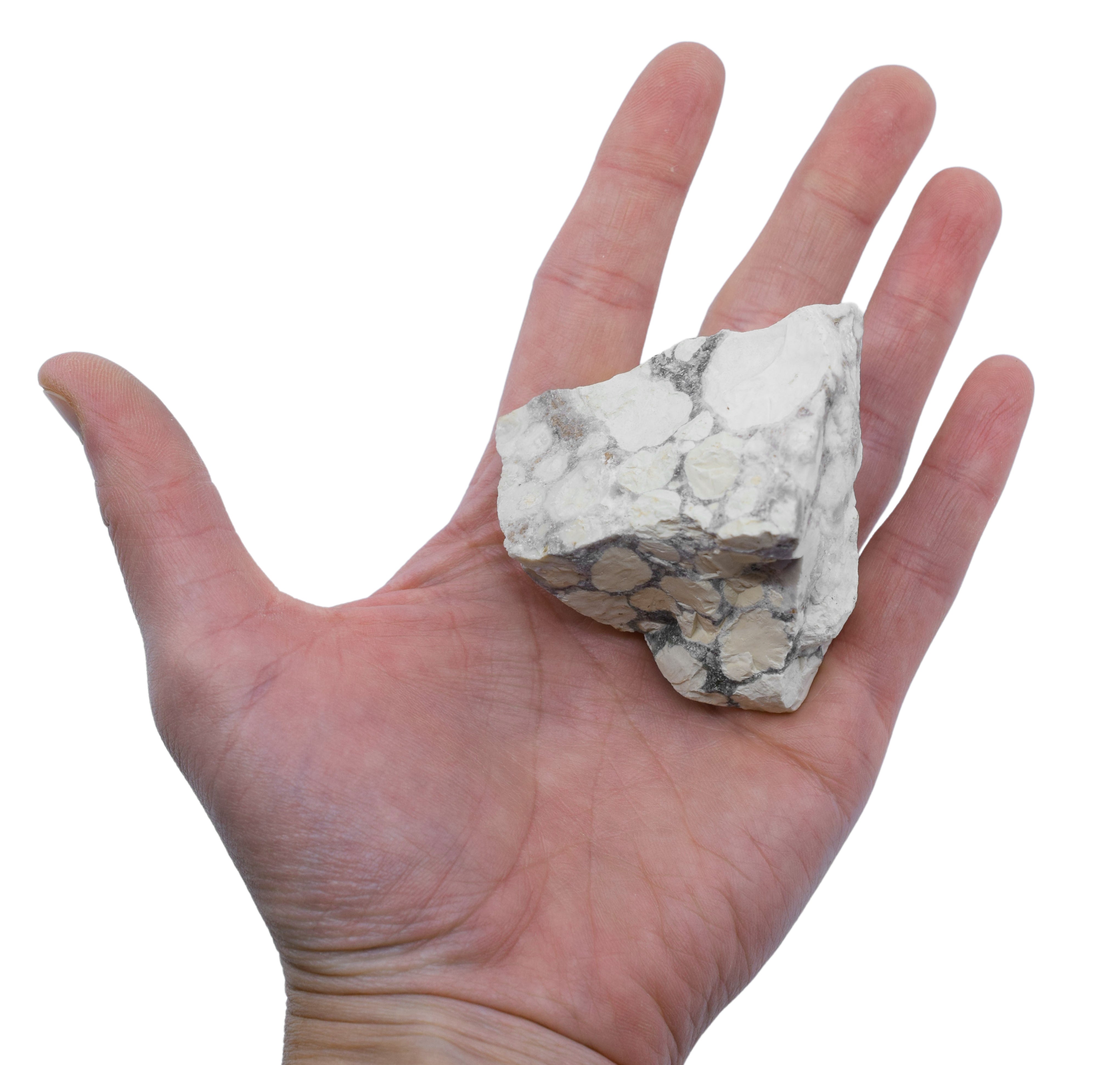 Raw Conglomerate Sedimentary Rock Hand Sample, Approx 3 inch