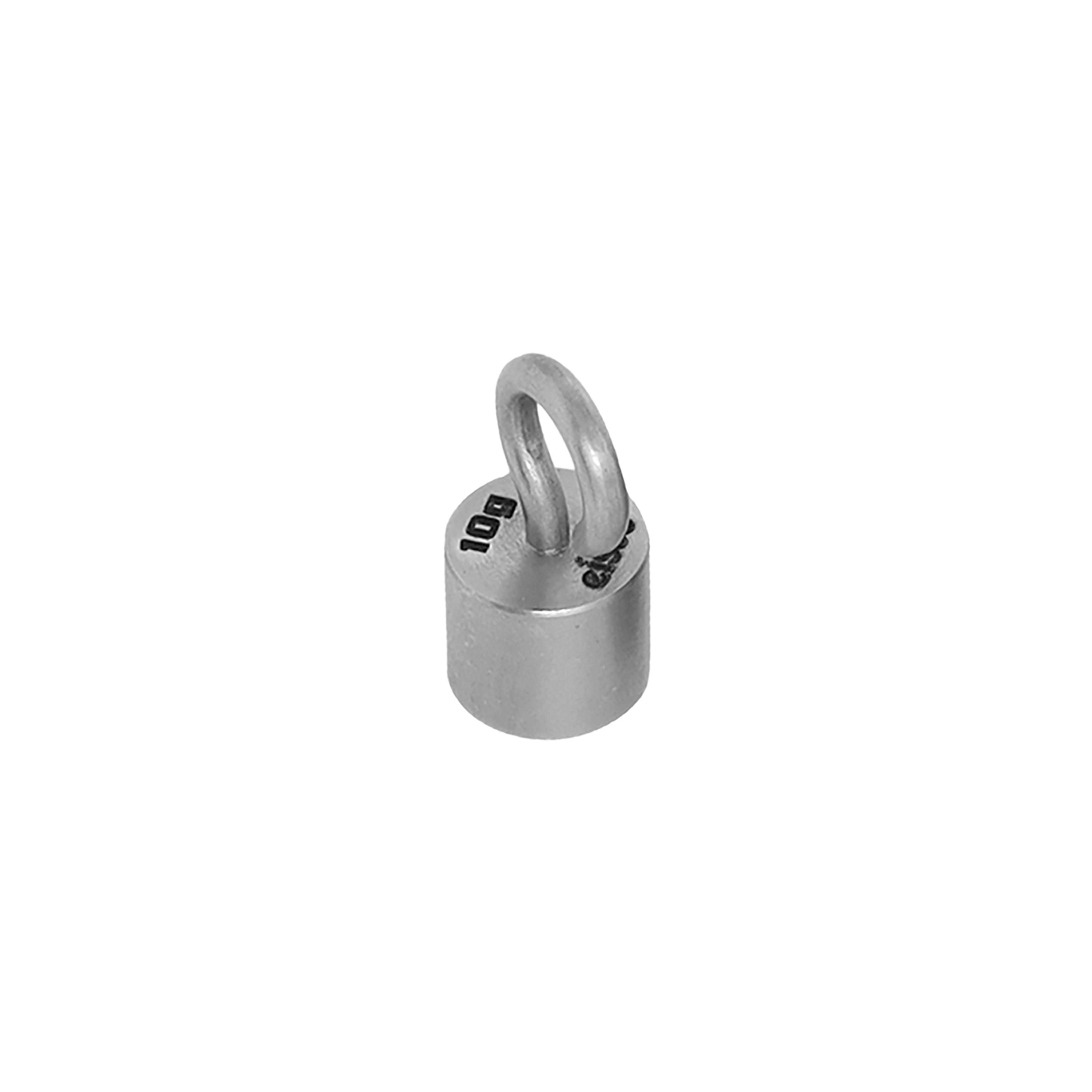 Individual Stainless Steel Hooked Weight