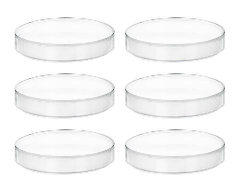 Translucent Polypropylene Petri Dish with Lid, 6-Pack