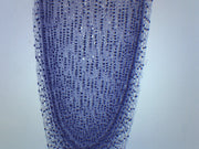 Allium Root Tip Longitudinal Section Prepared Microscope Slide