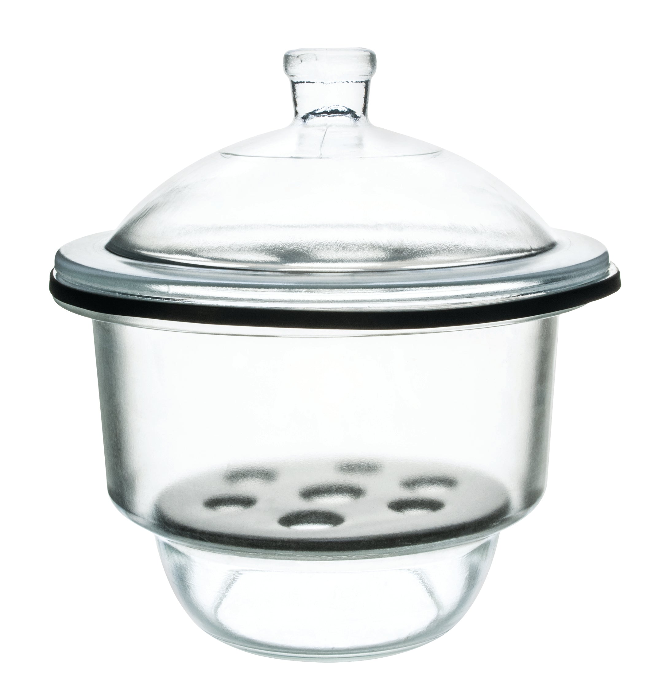 Borosilicate Glass Desiccator with Porcelain Plate, 25cm