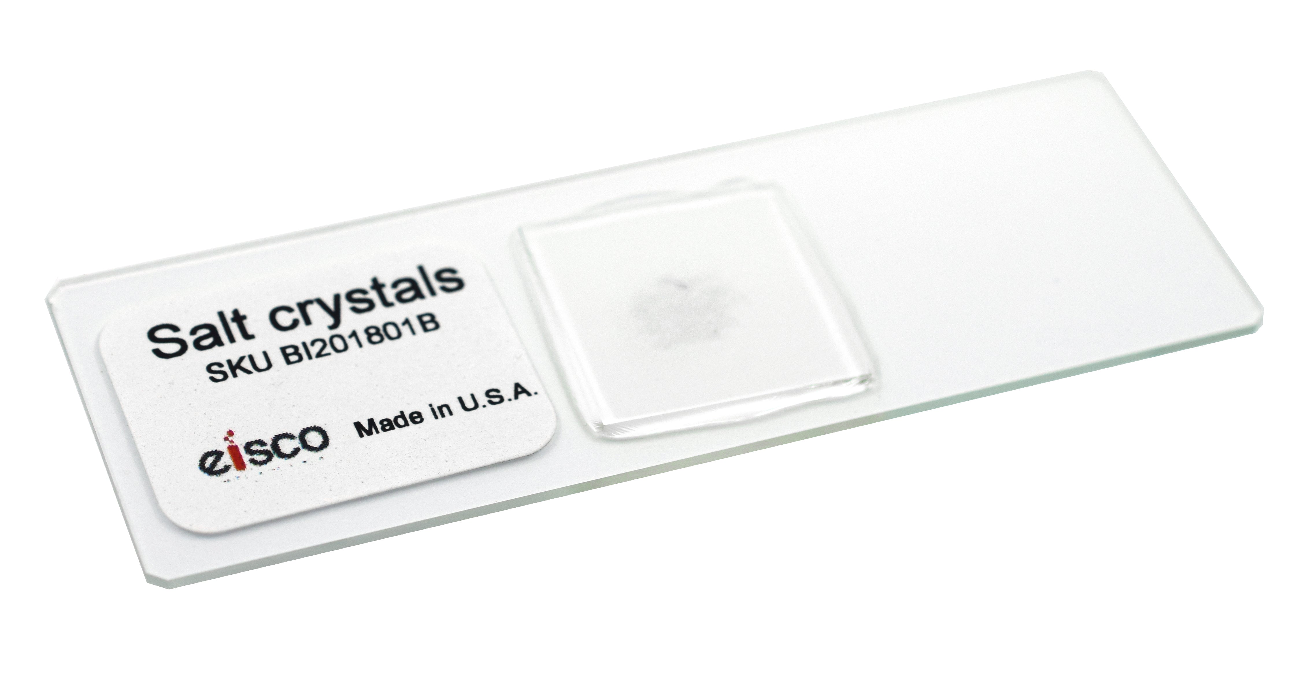 Salt Crystals Prepared Microscope Slide for Introductory Microscopy