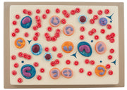 Red Blood Cell Model