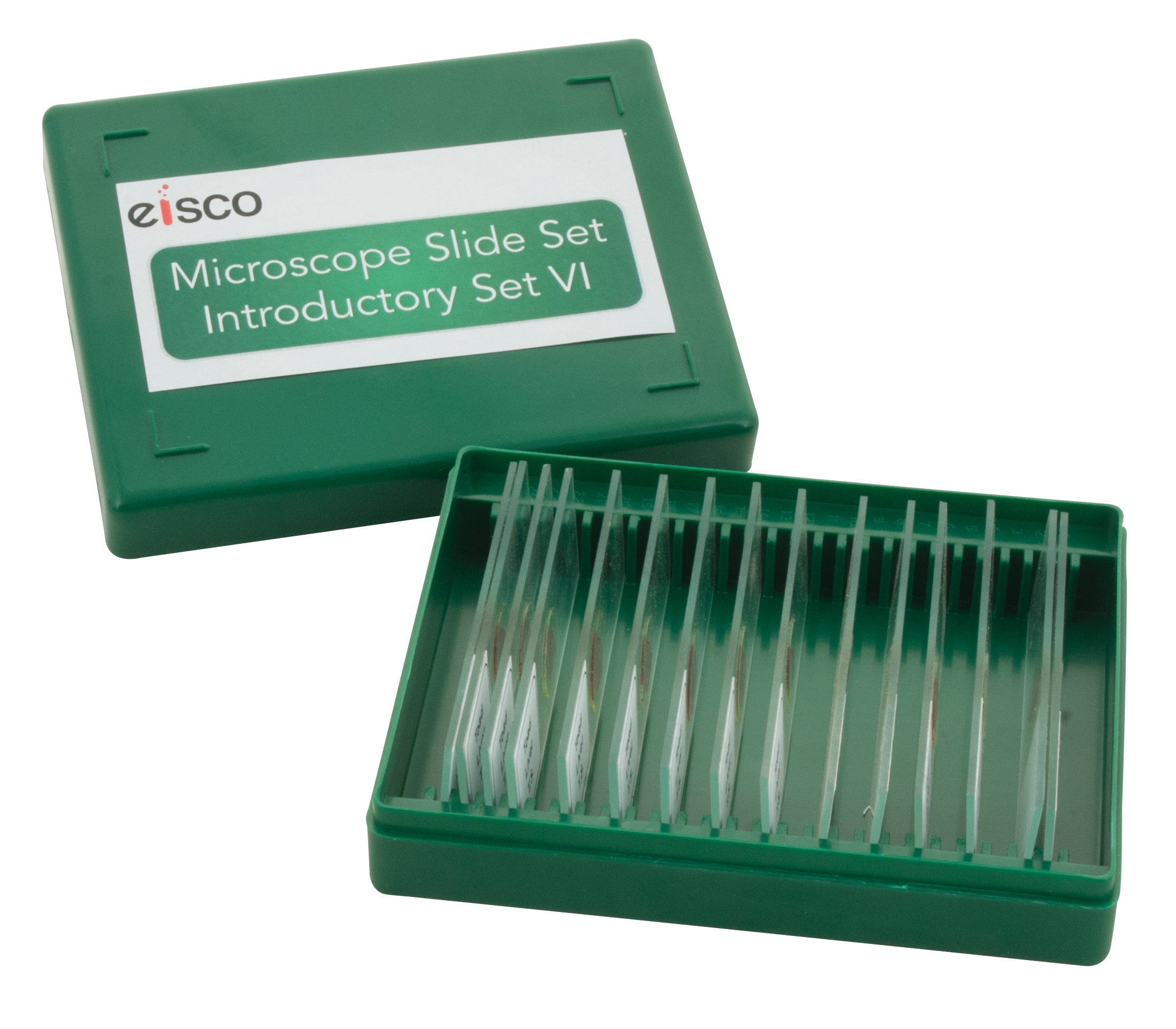 Introductory No. VI Microscope Slide Set, 15-Piece