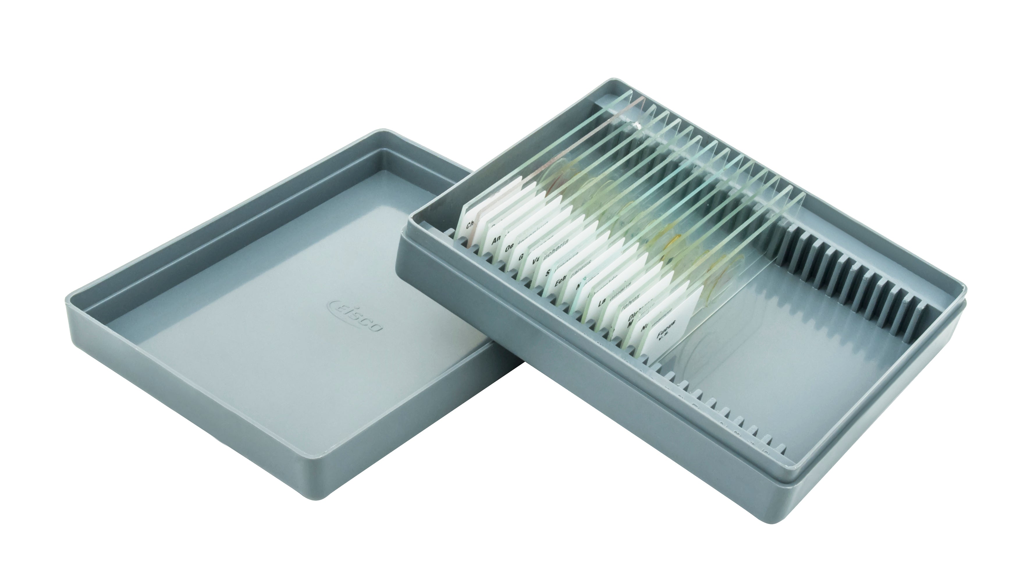 Algae Survey No. VII Microscope Slide Set, 15-Piece