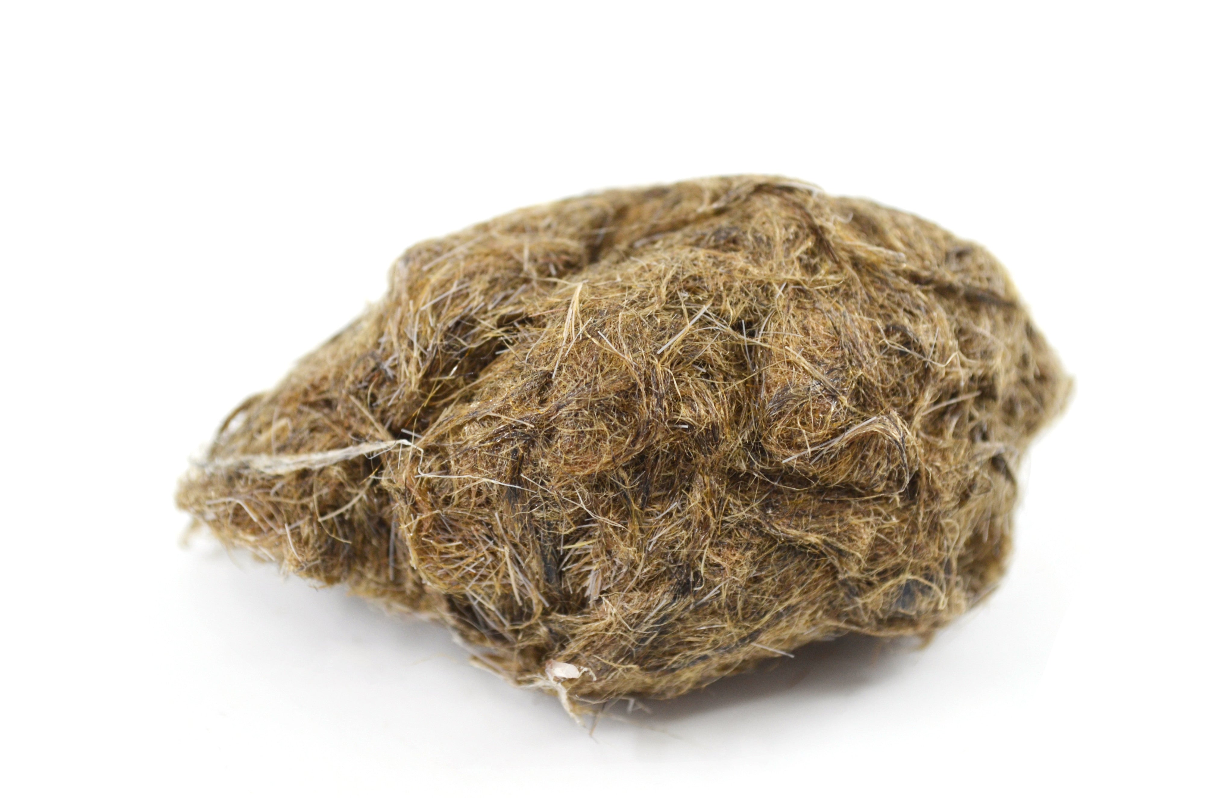 Simulated Owl Pellet with Bird, 3 x 2 inch