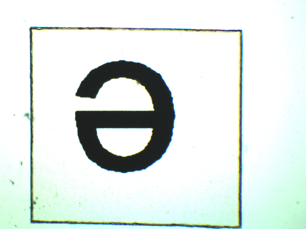 Letter 'e' Wholemount Prepared Microscope Slide