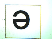 Letter 'e' Wholemount Prepared Microscope Slide
